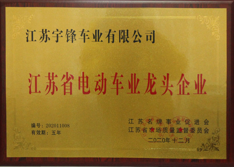 江蘇省電動(dòng)車業(yè)龍頭企業(yè)